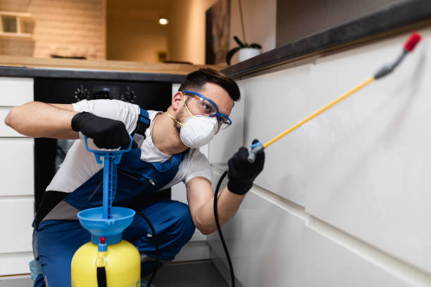 Best Local Pest Control Services  in Pleasant View, TN