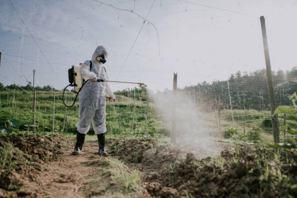 Best Mosquito Control Services  in Pleasant View, TN