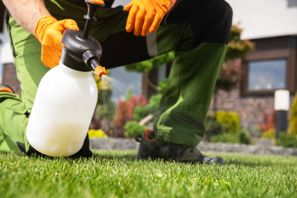 Best Insect Control  in Pleasant View, TN