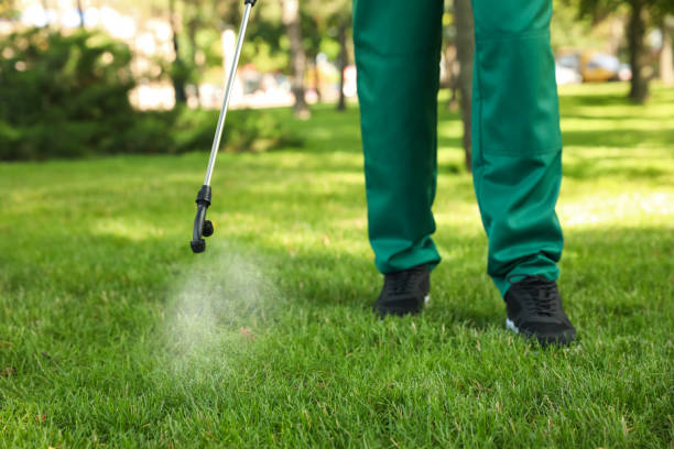 Best Flea Control Services  in Pleasant View, TN