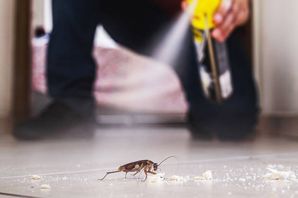 Best Pest Control Near Me in Pleasant View, TN