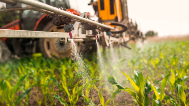Professional Pest Control in Pleasant View, TN